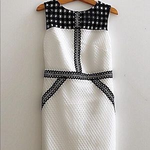 Topshop geometric lace contrast midi dress